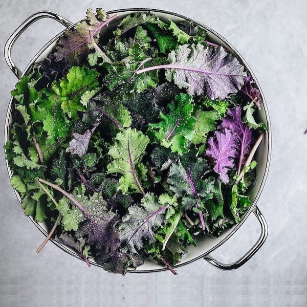 Fresh baby purple kale, a superfood vegetable from Holland, shown in a 0.125 kg pack with vibrant purple leaves.