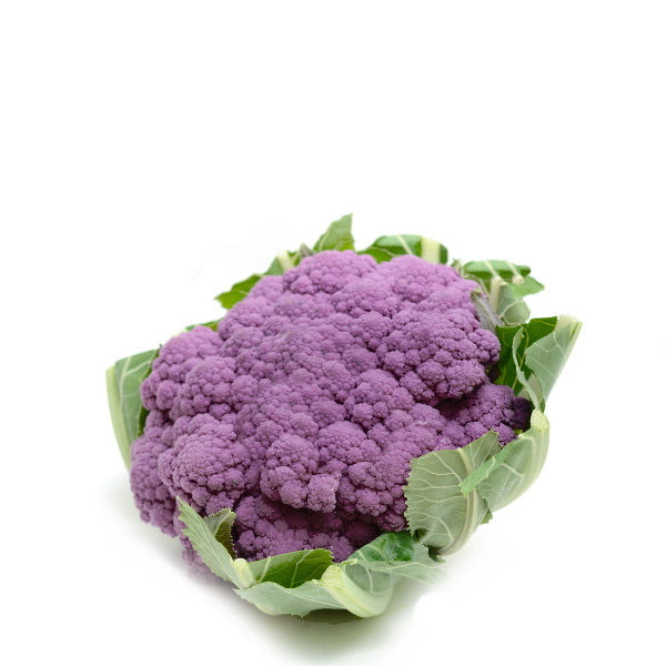 Single purple cauliflower from Holland, showcasing its vibrant violet color and fresh vegetable appearance.