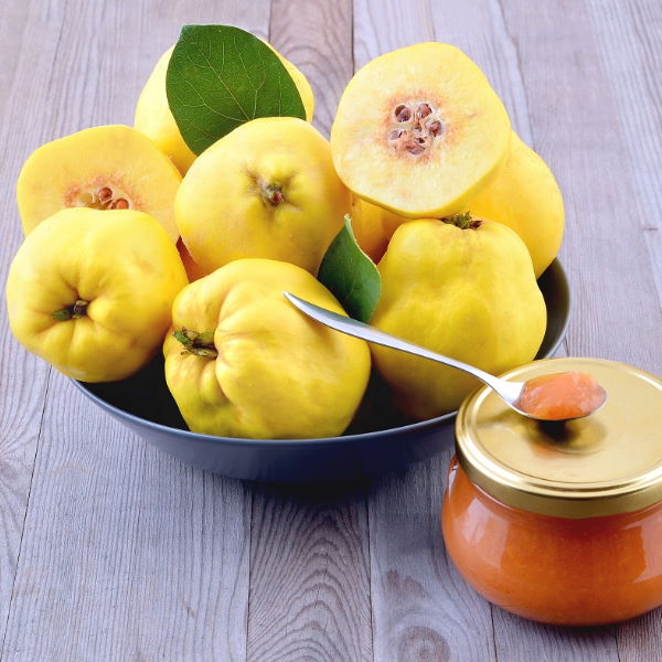 Fresh yellow quinces and cooking apples in a 1 kg pack, displayed in a local market produce display.