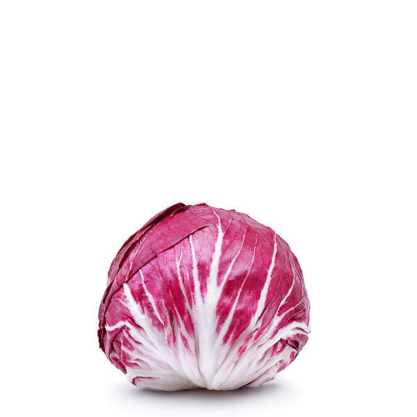 Fresh single piece Radicchio Rosso Chioggia lettuce from Holland, showcasing vibrant purple and white leaves.