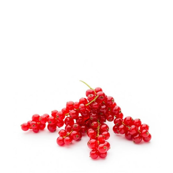 Fresh Holland red currants in a 0.125 kg pack, vibrant red berries of the fruit variety, ready for snacking or recipes.