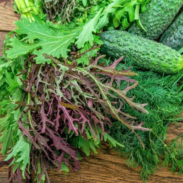 Fresh red Mizuna lettuce from Holland, a vibrant mustard green vegetable in a 0.125 kg pack, showcasing its leafy, red-tinted leaves.