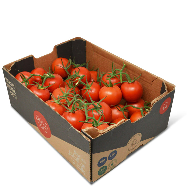 Fresh red hydroponic tomatoes on the vine in a 5 kg carton, showcasing vibrant, ripe vegetables from Dava Farm.