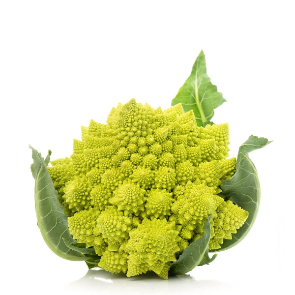 Fresh cauliflower Romanesco vegetable from Holland, single piece with vibrant green and intricate spiral pattern.