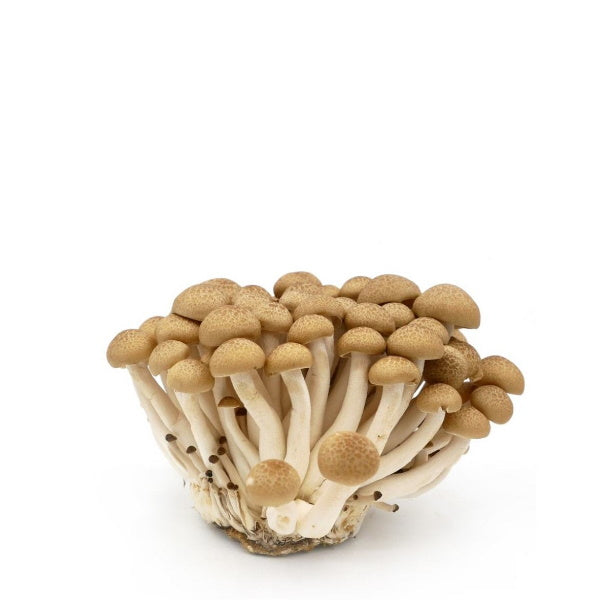 Brown Mushroom Shimeji from Holland, fresh vegetable in 0.150 kg pack, showing clusters of brown caps and stems.