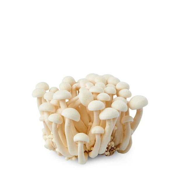 White Hon Mushrooms Shimeji, vegetable pack from Holland, 0.150 kg, fresh and natural edible mushroom cluster.