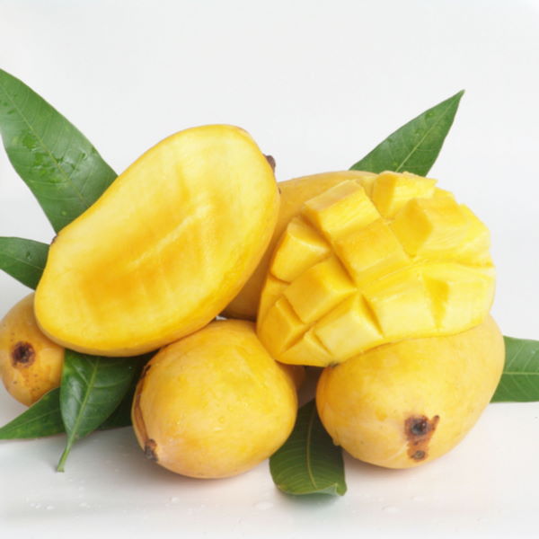 Fresh Sindhri mangoes in a 2.5 kg carton from Local Market, showcasing ripe, juicy mangoes ready to enjoy.