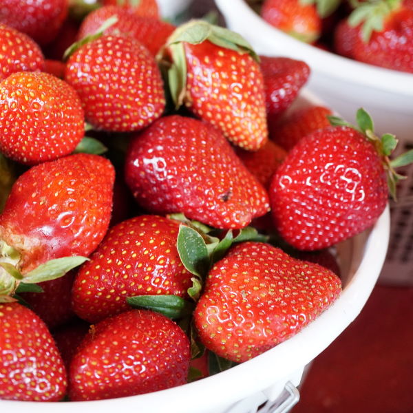 Fresh strawberries in a 0.25 kg pack from Sharbatly, vibrant red fruit with green leaves on a white background.