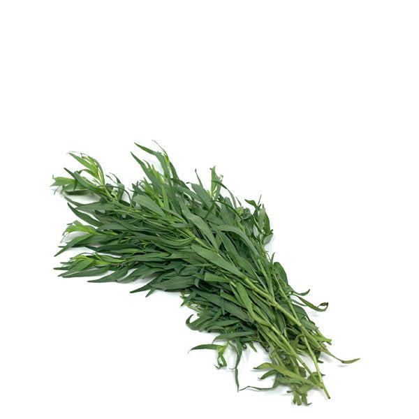 Fresh bunch of Kenya tarragon herb, also known as estragon or dragon herb, showcasing vibrant green leaves in a single bunch.