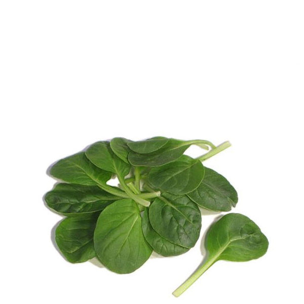 Fresh baby Tatsoi lettuce from Holland, a leafy vegetable in a 0.125 kg pack, with vibrant green leaves and tender stems.