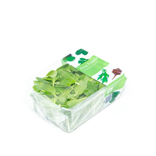 Fresh baby Tatsoi lettuce in a 0.125 kg pack, organic vegetable from Holland with vibrant green leaves.