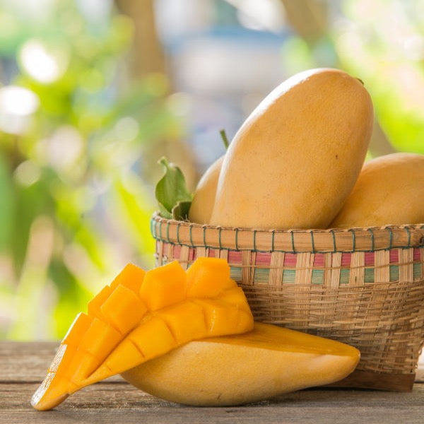 Single Thai Nam Dok Mai mango, a ripe, golden fruit from Thailand with smooth skin and sweet aroma.
