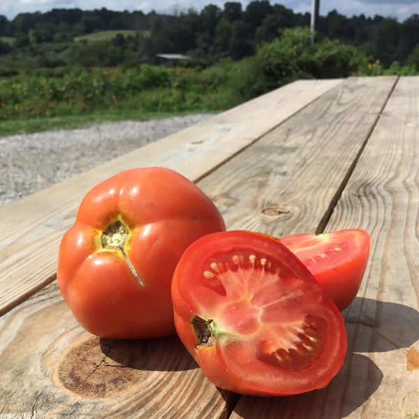 Fresh round tomatoes in a 1 kg pack from Local Market, showing ripe, red vegetables ready for cooking or snacking.