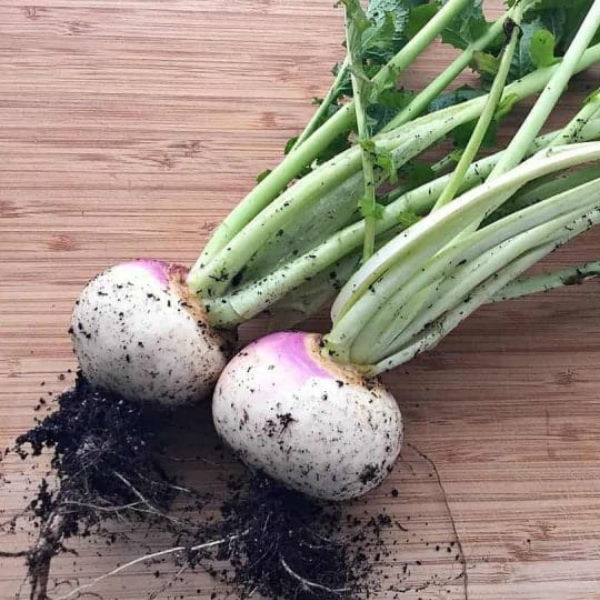Fresh purple-top turnips from Local Market, 2 kg pack, showcasing vibrant purple and white roots ready for cooking or salads.