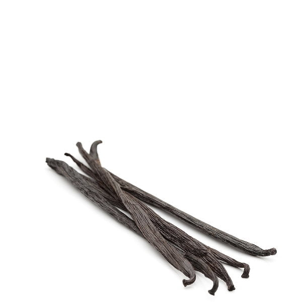 Holland vanilla pods, 5 pieces of fresh fruit vanilla beans, shown in a natural close-up image on a white background.