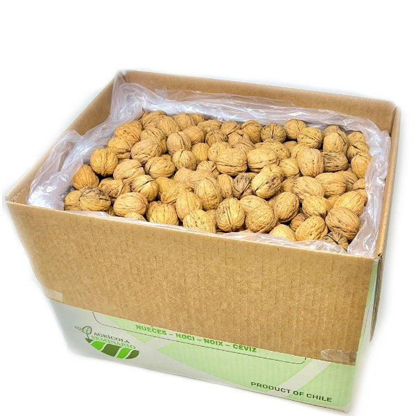 Shelled Chandler walnuts from Sharbatly, easy to crack, in a 10 kg carton, displayed in a natural close-up image.