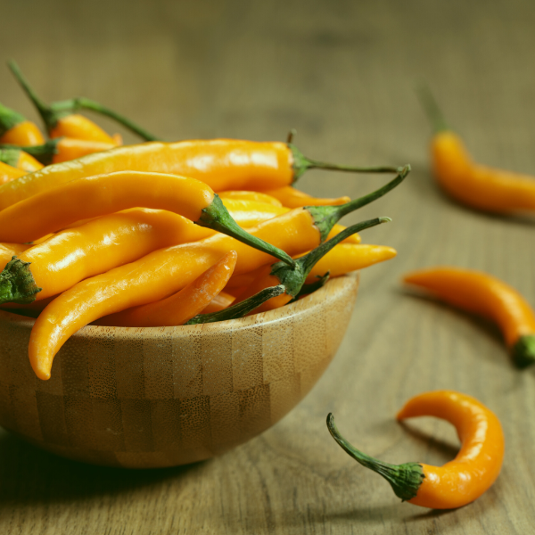 Yellow chili pepper herb, Gold Cayenne variety, Holland brand, 0.25 kg bundle, fresh and vibrant in appearance.