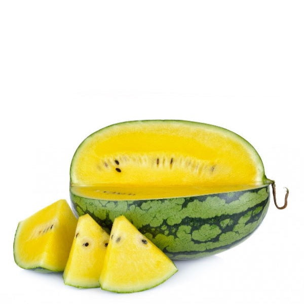 Yellow watermelon baby long fruit from Thailand, fresh yellow watermelon piece, vibrant and juicy with smooth skin.